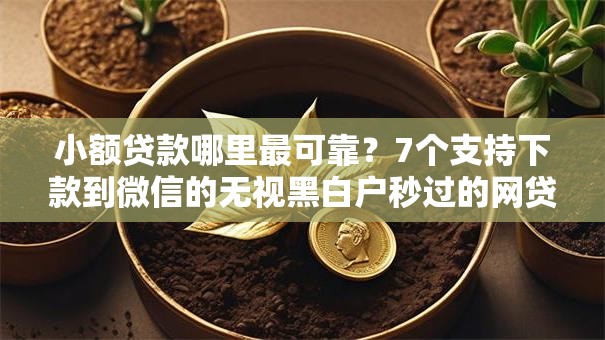 小额贷款哪里最可靠?7个支持下款到微信的无视黑白户秒过的网贷口子 小额贷款哪里最可靠?7个支持下款到微信的无视黑白户秒过的网贷口子