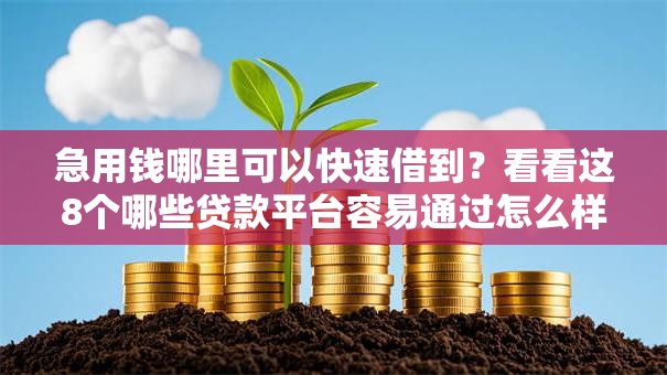 急用钱哪里可以快速借到?看看这8个哪些贷款平台容易通过怎么样 急用钱哪里可以快速借到?看看这8个哪些贷款平台容易通过怎么样