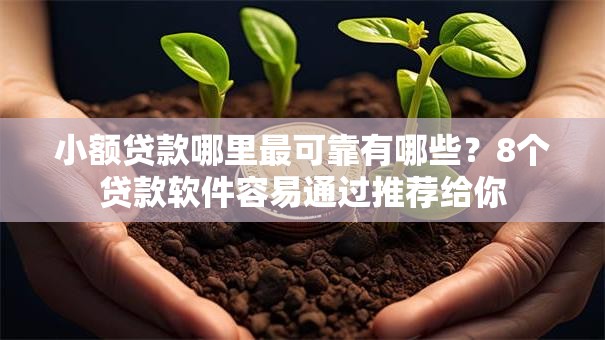 小额贷款哪里最可靠有哪些？8个贷款软件容易通过推荐给你