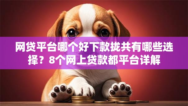 网贷平台哪个好下款拢共有哪些选择？8个网上贷款都平台详解