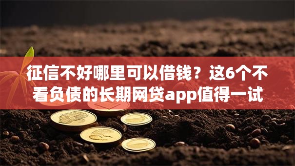 征信不好哪里可以借钱？这6个不看负债的长期网贷app值得一试
