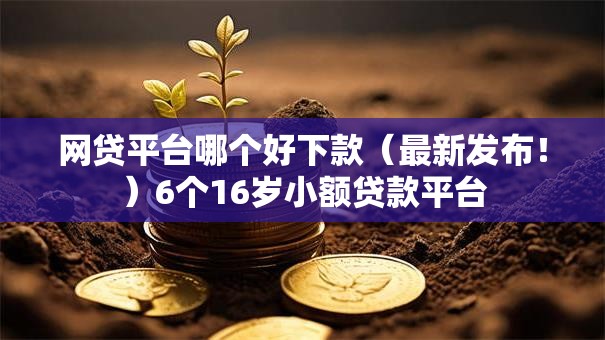 网贷平台哪个好下款（最新发布！）6个16岁小额贷款平台
