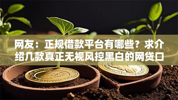 网友:正规借款平台有哪些?求介绍几款真正无视风控黑白的网贷口子 网友:正规借款平台有哪些?求介绍几款真正无视风控黑白的网贷口子