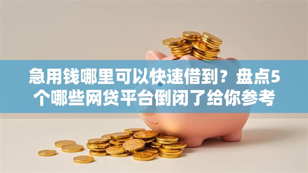 急用钱哪里可以快速借到?盘点5个哪些网贷平台倒闭了给你参考 急用钱哪里可以快速借到?盘点5个哪些网贷平台倒闭了给你参考