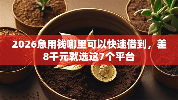 2026急用钱哪里可以快速借到,差8千元就选这7个平台 2026急用钱哪里可以快速借到,差8千元就选这7个平台