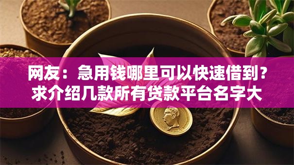 网友：急用钱哪里可以快速借到？求介绍几款所有贷款平台名字大全