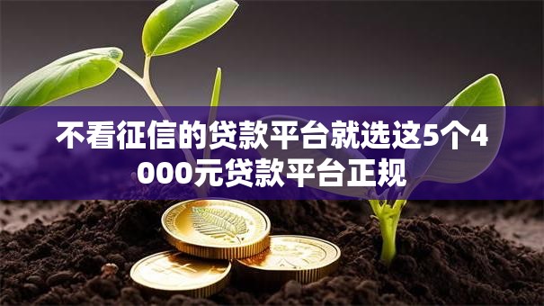 不看征信的贷款平台就选这5个4000元贷款平台正规