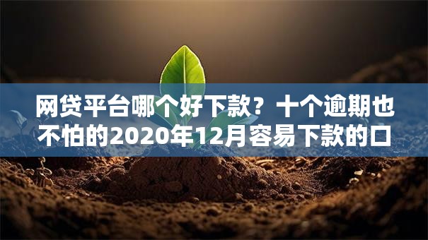 网贷平台哪个好下款？十个逾期也不怕的2020年12月容易下款的口子