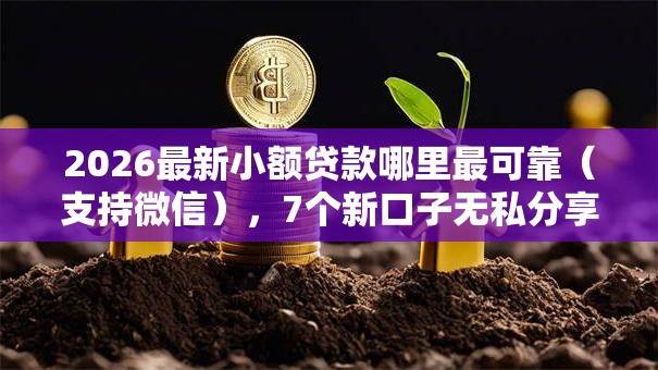 2026最新小额贷款哪里最可靠(支持微信),7个新口子无私分享 2026最新小额贷款哪里最可靠(支持微信),7个新口子无私分享