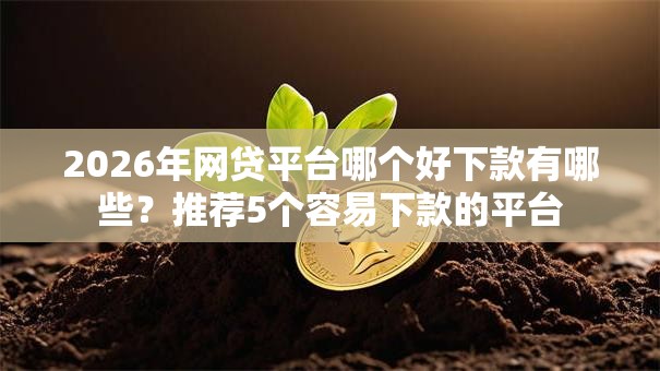 2026年网贷平台哪个好下款有哪些?推荐5个容易下款的平台 2026年网贷平台哪个好下款有哪些?推荐5个容易下款的平台