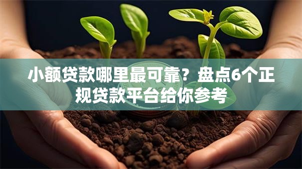 小额贷款哪里最可靠？盘点6个正规贷款平台给你参考