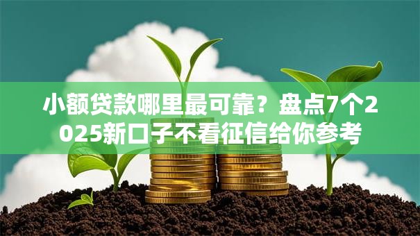 小额贷款哪里最可靠?盘点7个2025新口子不看征信给你参考 小额贷款哪里最可靠?盘点7个2025新口子不看征信给你参考