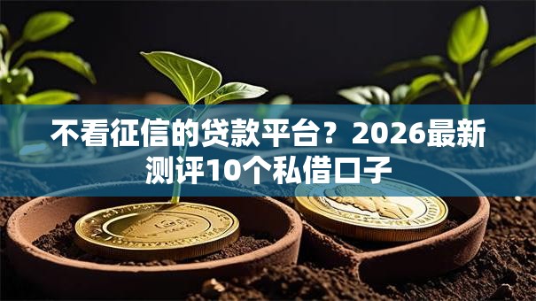 不看征信的贷款平台？2026最新测评10个私借口子