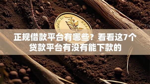 正规借款平台有哪些?看看这7个贷款平台有没有能下款的 正规借款平台有哪些?看看这7个贷款平台有没有能下款的