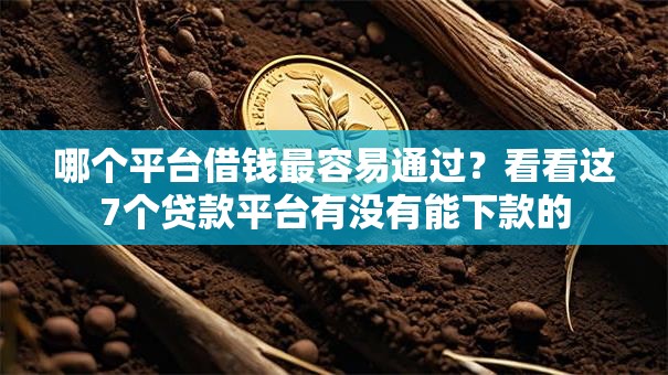哪个平台借钱最容易通过?看看这7个贷款平台有没有能下款的 哪个平台借钱最容易通过?看看这7个贷款平台有没有能下款的