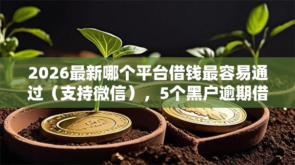 2026最新哪个平台借钱最容易通过（支持微信），5个黑户逾期借款平台无私分享