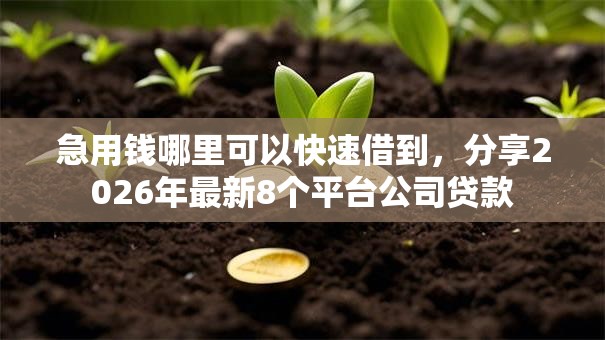 急用钱哪里可以快速借到,分享2026年最新8个平台公司贷款 急用钱哪里可以快速借到,分享2026年最新8个平台公司贷款