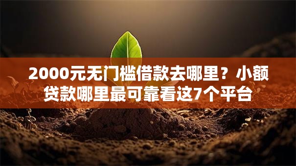 2000元无门槛借款去哪里?小额贷款哪里最可靠看这7个平台 2000元无门槛借款去哪里?小额贷款哪里最可靠看这7个平台