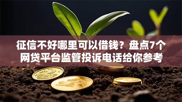 征信不好哪里可以借钱？盘点7个网贷平台监管投诉电话给你参考