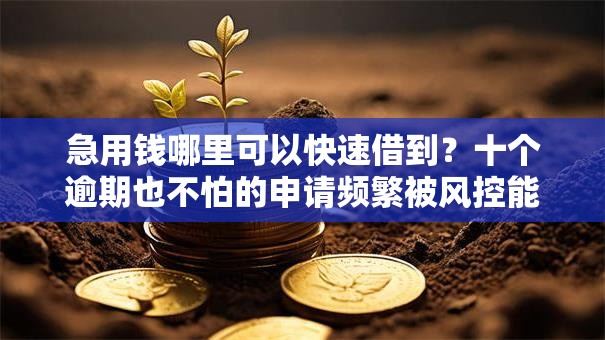 急用钱哪里可以快速借到?十个逾期也不怕的申请频繁被风控能下的口子 急用钱哪里可以快速借到?十个逾期也不怕的申请频繁被风控能下的口子
