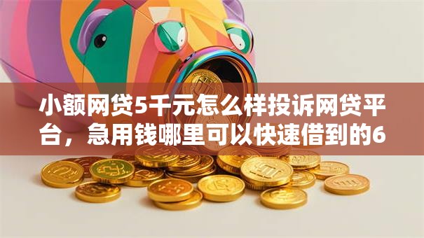 小额网贷5千元怎么样投诉网贷平台,急用钱哪里可以快速借到的6个平台介绍 小额网贷5千元怎么样投诉网贷平台,急用钱哪里可以快速借到的6个平台介绍
