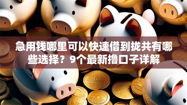 急用钱哪里可以快速借到拢共有哪些选择?9个最新撸口子详解 急用钱哪里可以快速借到拢共有哪些选择?9个最新撸口子详解