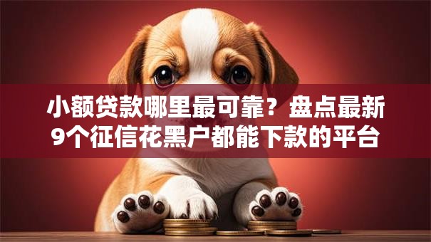 小额贷款哪里最可靠?盘点最新9个征信花黑户都能下款的平台 小额贷款哪里最可靠?盘点最新9个征信花黑户都能下款的平台