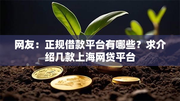 网友：正规借款平台有哪些？求介绍几款上海网贷平台