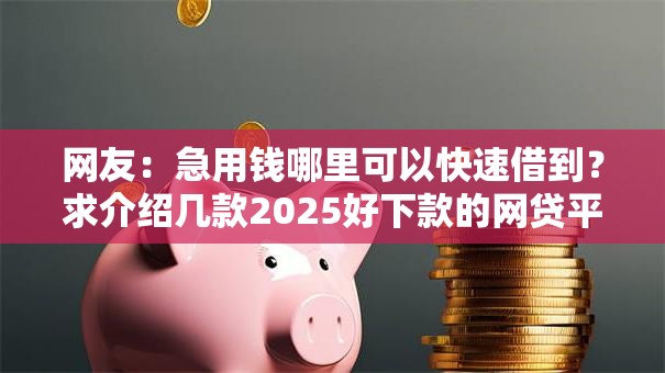 网友:急用钱哪里可以快速借到?求介绍几款2025好下款的网贷平台 网友:急用钱哪里可以快速借到?求介绍几款2025好下款的网贷平台