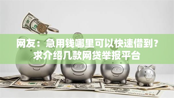 网友:急用钱哪里可以快速借到?求介绍几款网贷举报平台 网友:急用钱哪里可以快速借到?求介绍几款网贷举报平台