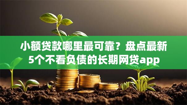 小额贷款哪里最可靠？盘点最新5个不看负债的长期网贷app