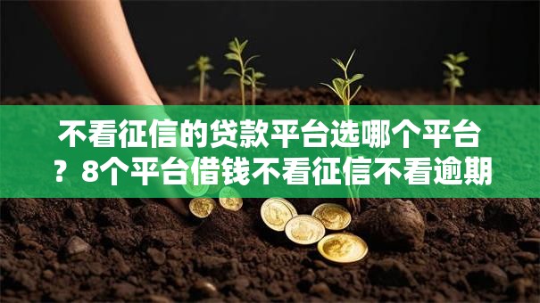 不看征信的贷款平台选哪个平台？8个平台借钱不看征信不看逾期,不看欠款推荐