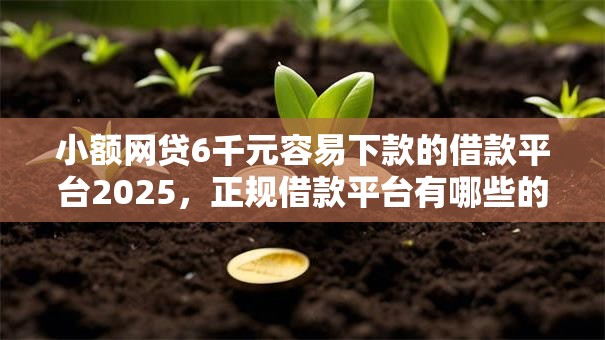 小额网贷6千元容易下款的借款平台2025，正规借款平台有哪些的5个平台介绍