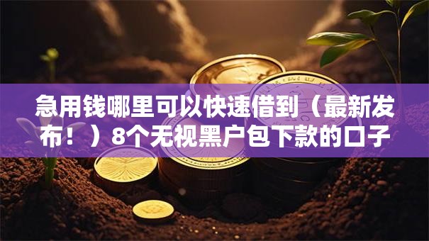 急用钱哪里可以快速借到（最新发布！）8个无视黑户包下款的口子
