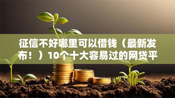 征信不好哪里可以借钱（最新发布！）10个十大容易过的网贷平台