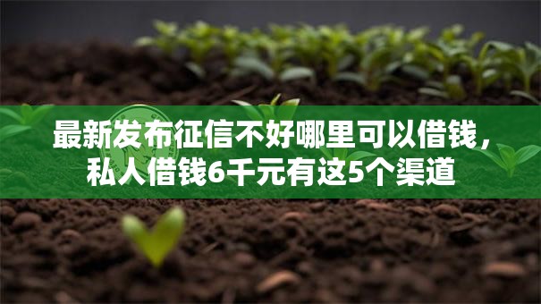 最新发布征信不好哪里可以借钱,私人借钱6千元有这5个渠道 最新发布征信不好哪里可以借钱,私人借钱6千元有这5个渠道