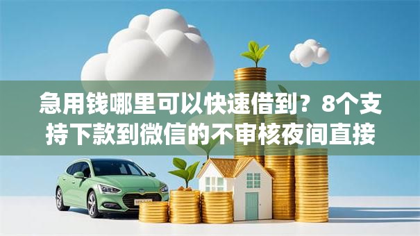 急用钱哪里可以快速借到?8个支持下款到微信的不审核夜间直接放款的网贷app 急用钱哪里可以快速借到?8个支持下款到微信的不审核夜间直接放款的网贷app