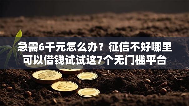 急需6千元怎么办？征信不好哪里可以借钱试试这7个无门槛平台