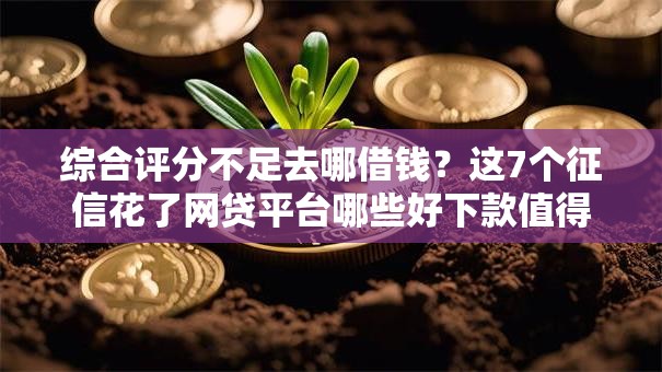 综合评分不足去哪借钱？这7个征信花了网贷平台哪些好下款值得一试