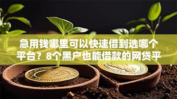 急用钱哪里可以快速借到选哪个平台?8个黑户也能借款的网贷平台推荐 急用钱哪里可以快速借到选哪个平台?8个黑户也能借款的网贷平台推荐