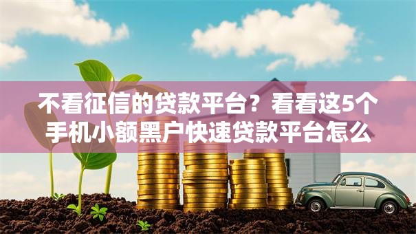 不看征信的贷款平台？看看这5个手机小额黑户快速贷款平台怎么样