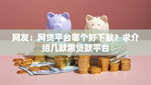 网友：网贷平台哪个好下款？求介绍几款黑贷款平台