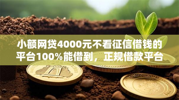 小额网贷4000元不看征信借钱的平台100%能借到，正规借款平台有哪些的8个平台介绍