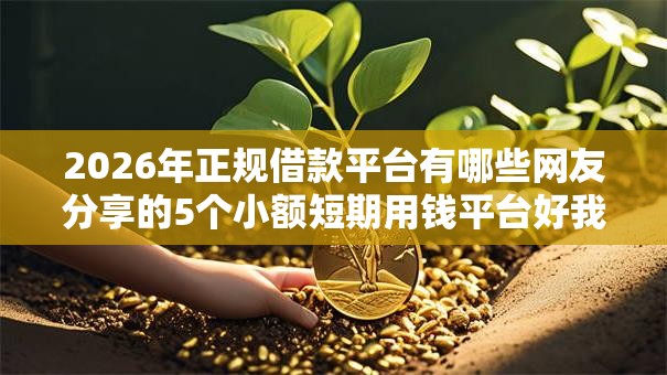 2026年正规借款平台有哪些网友分享的5个小额短期用钱平台好我觉得不错! 2026年正规借款平台有哪些网友分享的5个小额短期用钱平台好我觉得不错!