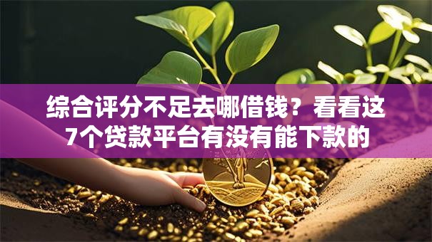 综合评分不足去哪借钱?看看这7个贷款平台有没有能下款的 综合评分不足去哪借钱?看看这7个贷款平台有没有能下款的