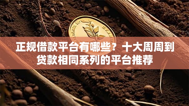正规借款平台有哪些?十大周周到贷款相同系列的平台推荐 正规借款平台有哪些?十大周周到贷款相同系列的平台推荐