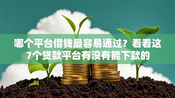 哪个平台借钱最容易通过?看看这7个贷款平台有没有能下款的 哪个平台借钱最容易通过?看看这7个贷款平台有没有能下款的