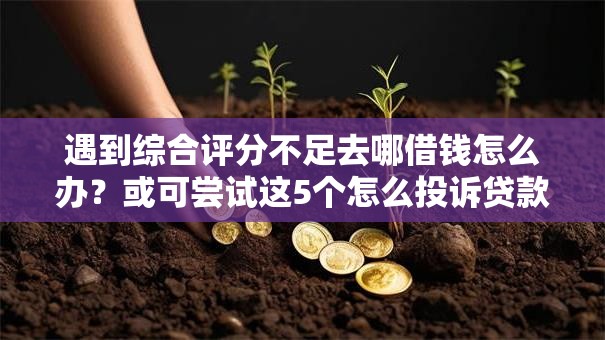 遇到综合评分不足去哪借钱怎么办?或可尝试这5个怎么投诉贷款平台 遇到综合评分不足去哪借钱怎么办?或可尝试这5个怎么投诉贷款平台