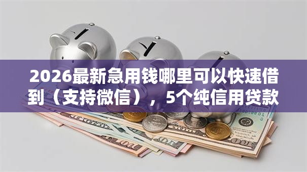 2026最新急用钱哪里可以快速借到(支持微信),5个纯信用贷款平台无私分享 2026最新急用钱哪里可以快速借到(支持微信),5个纯信用贷款平台无私分享
