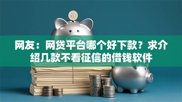 网友:网贷平台哪个好下款?求介绍几款不看征信的借钱软件 网友:网贷平台哪个好下款?求介绍几款不看征信的借钱软件